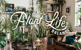 Plant Life Balance augmented reality app