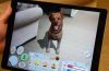 Introducing Dex: Your AR Dog Companion Augmented Reality App