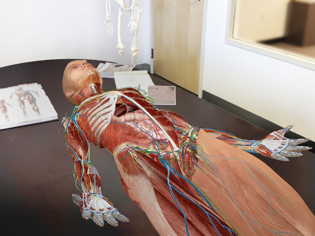 The Human Anatomy Atlas AR app