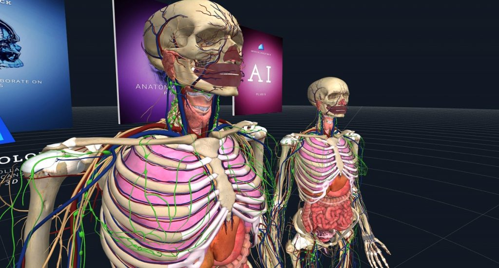 Magic Leap Announces Winners of the First Round of Independent Creator Program 2 medicalholodeck magic leap program medicalholodeck magic leap independent creator program winners