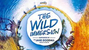The Wild Immersion immersive experience - EarthxInteractive 2019