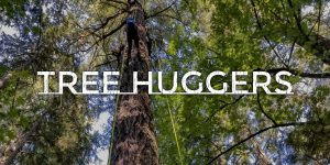 Tree Huggers immersive experience - EarthxInteractive 2019