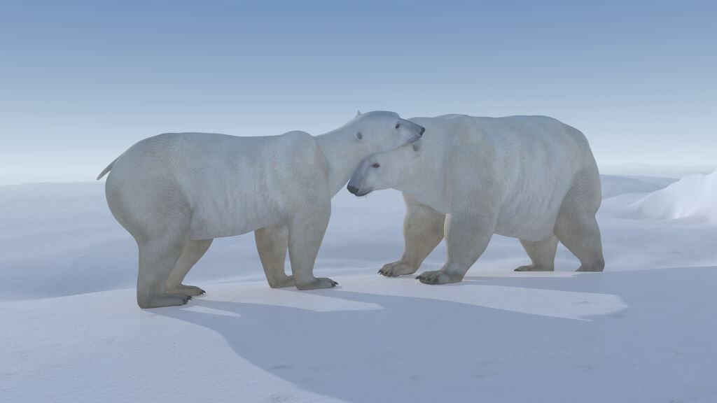 augmented reality experience polar bears