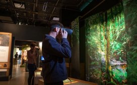 The AR Experience Honoring Scientist Jane Goodall