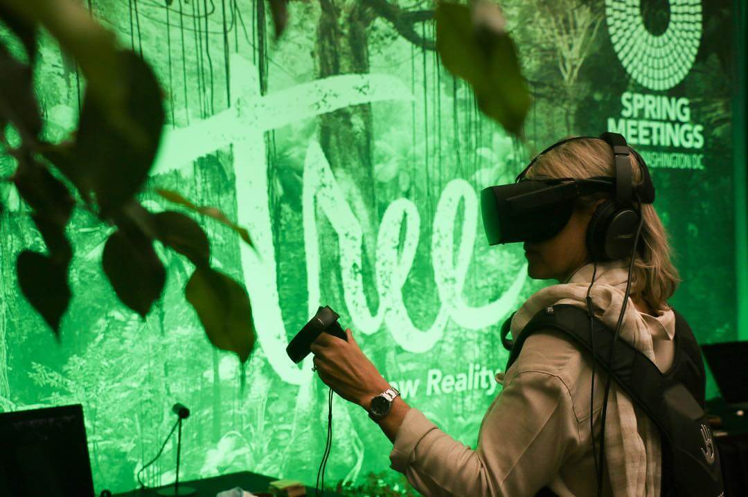 Tree Virtual reality experience