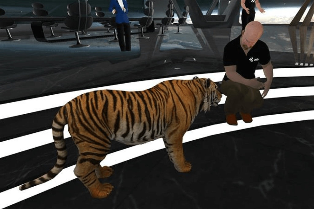 Meeting in the MetaCenter Tiger Orlando VRARA